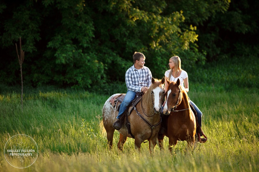 engagement_horses_10.JPG