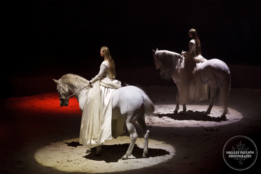 cavalia_06.JPG