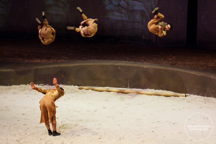 cavalia_09.JPG