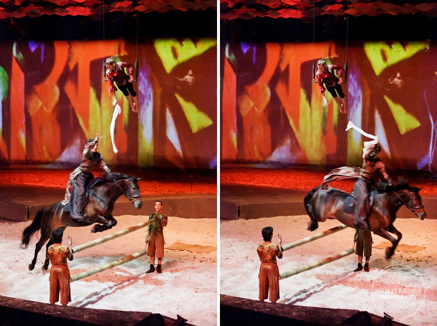 cavalia_11.JPG