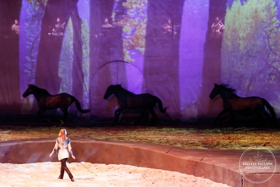 cavalia_17.JPG