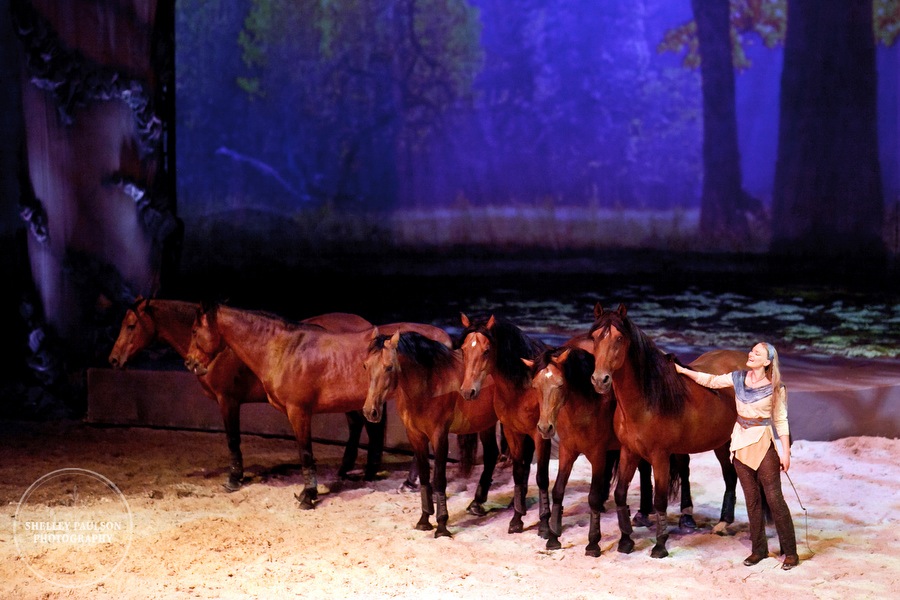 cavalia_19.JPG