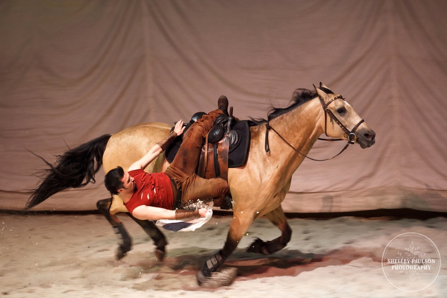 cavalia_20.JPG