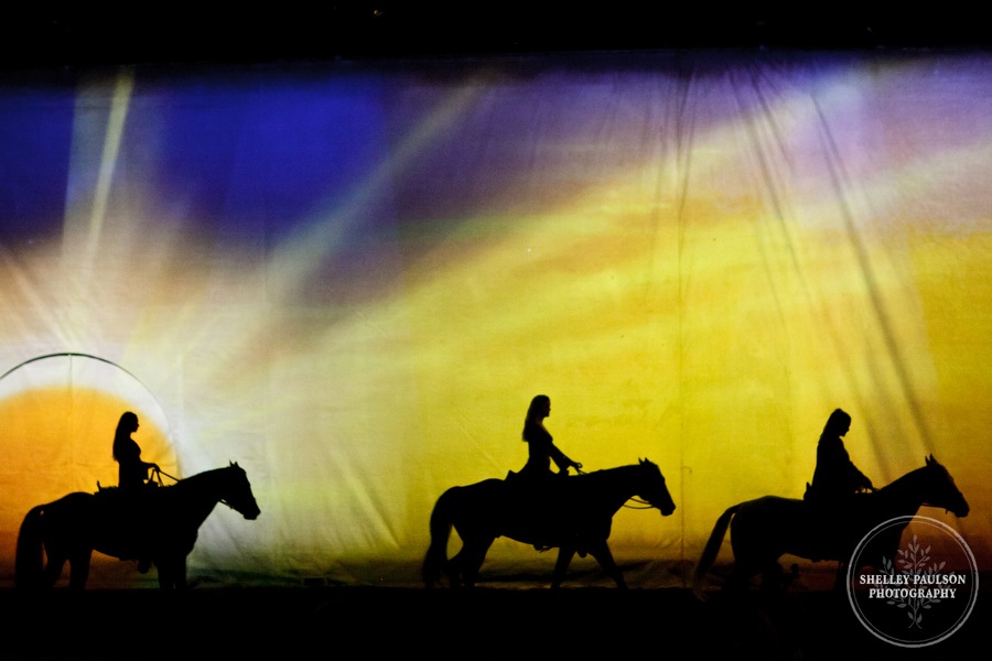 cavalia_26.JPG