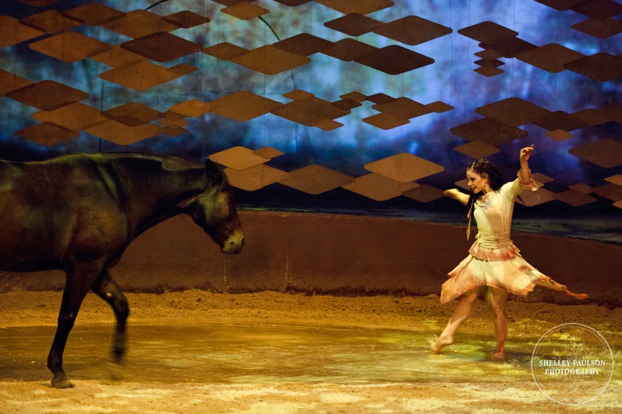 cavalia_photos_007.JPG