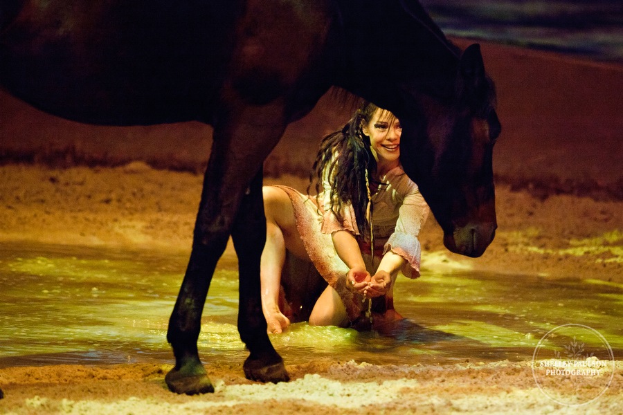 cavalia_photos_008.JPG