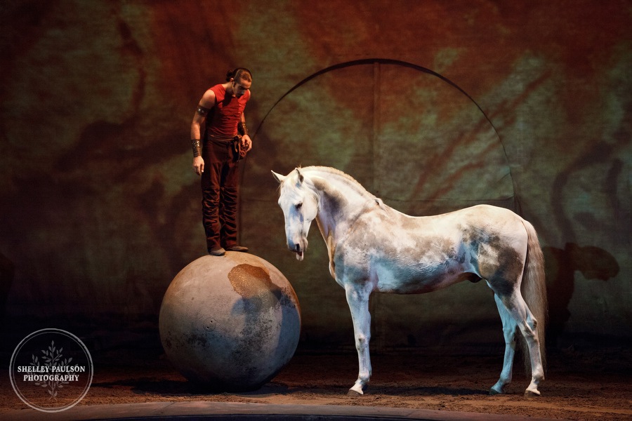 cavalia_photos_015.JPG