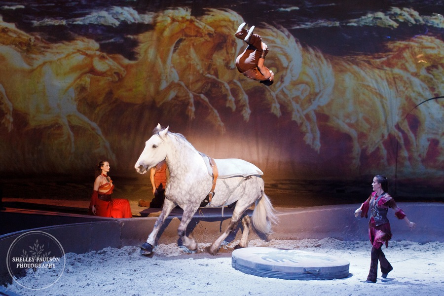 cavalia_photos_031.JPG