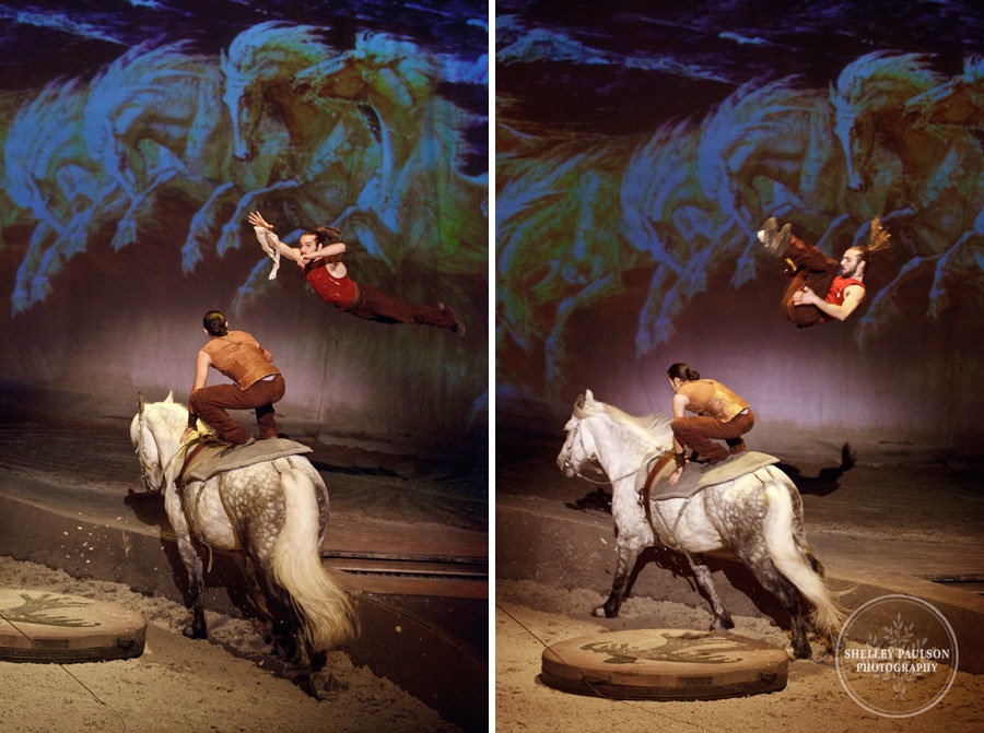 cavalia_photos_036.JPG