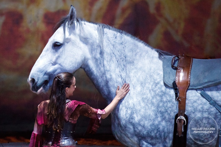 cavalia_photos_037.JPG