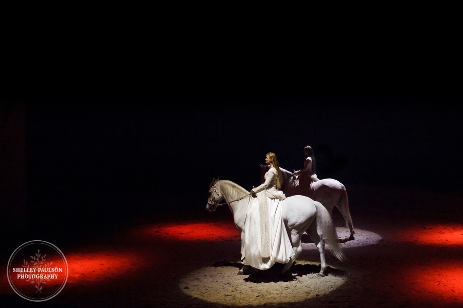 cavalia_photos_041.JPG