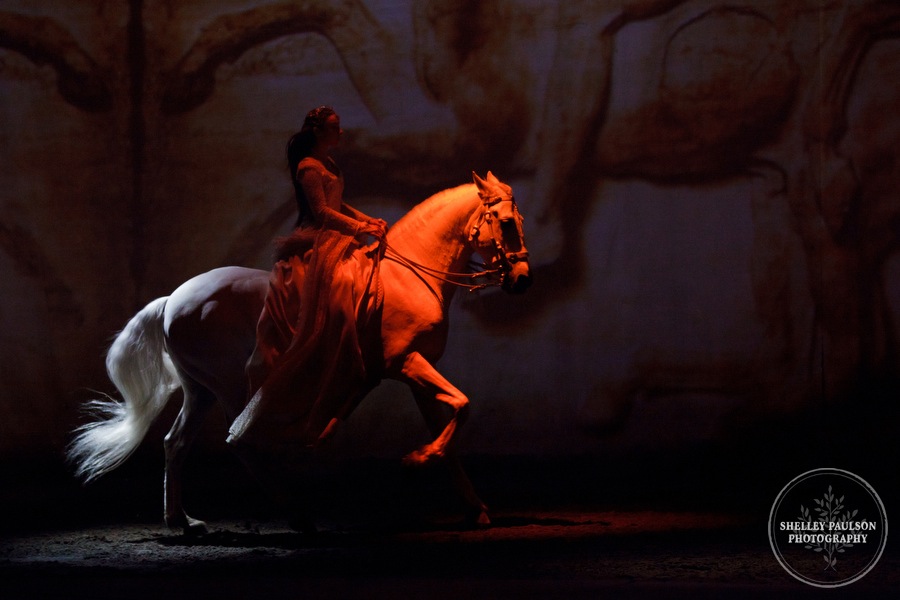 cavalia_photos_043.JPG