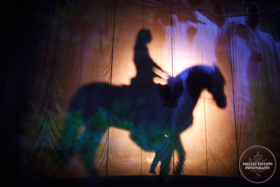 cavalia_photos_054.JPG