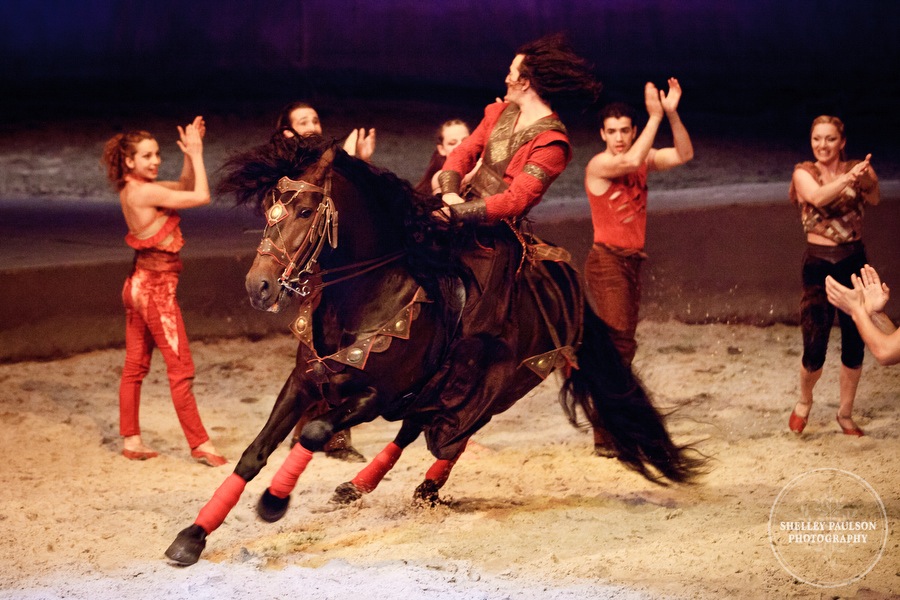 cavalia_photos_056.JPG