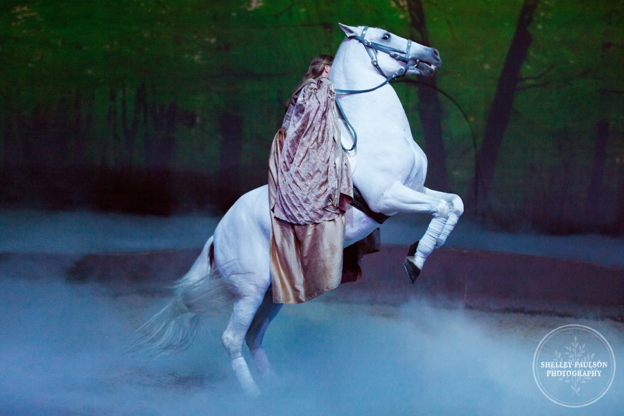 cavalia_photos_073.JPG