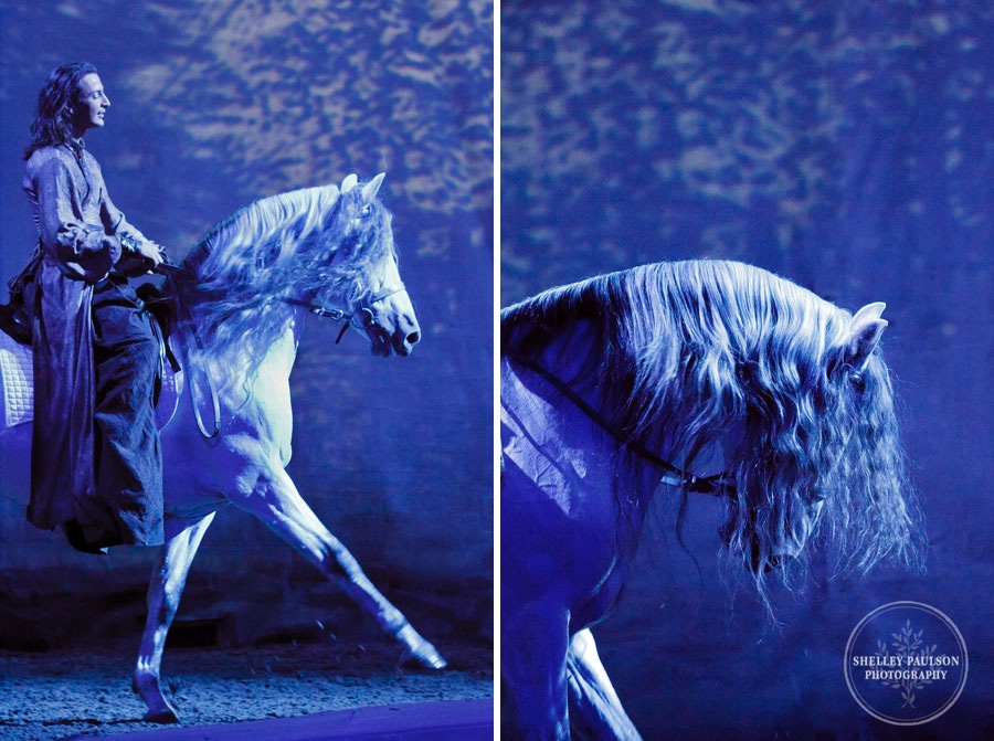 cavalia_photos_076.JPG