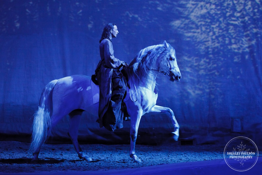 cavalia_photos_077.JPG