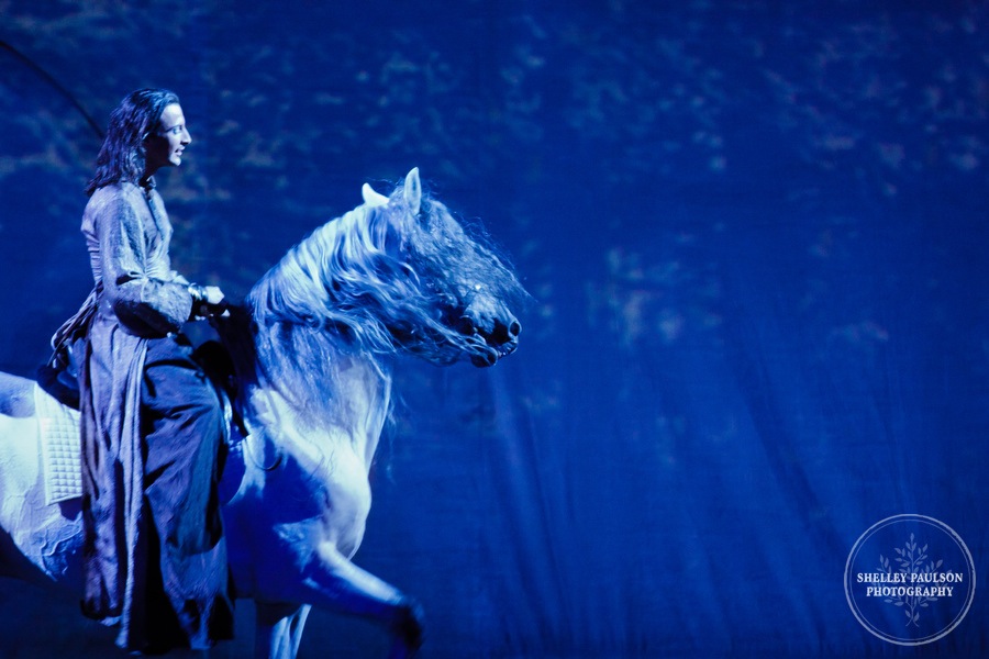 cavalia_photos_078.JPG