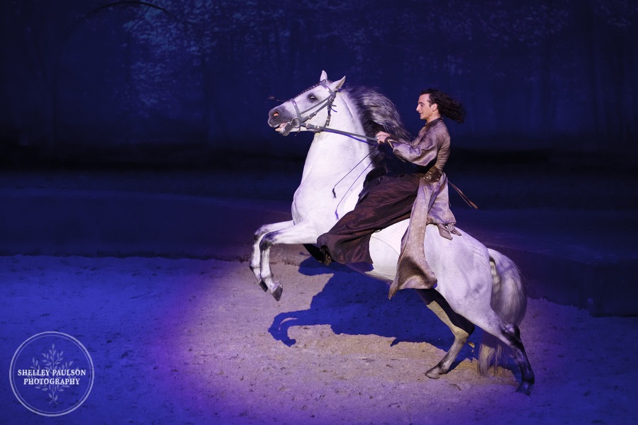 cavalia_photos_079.JPG