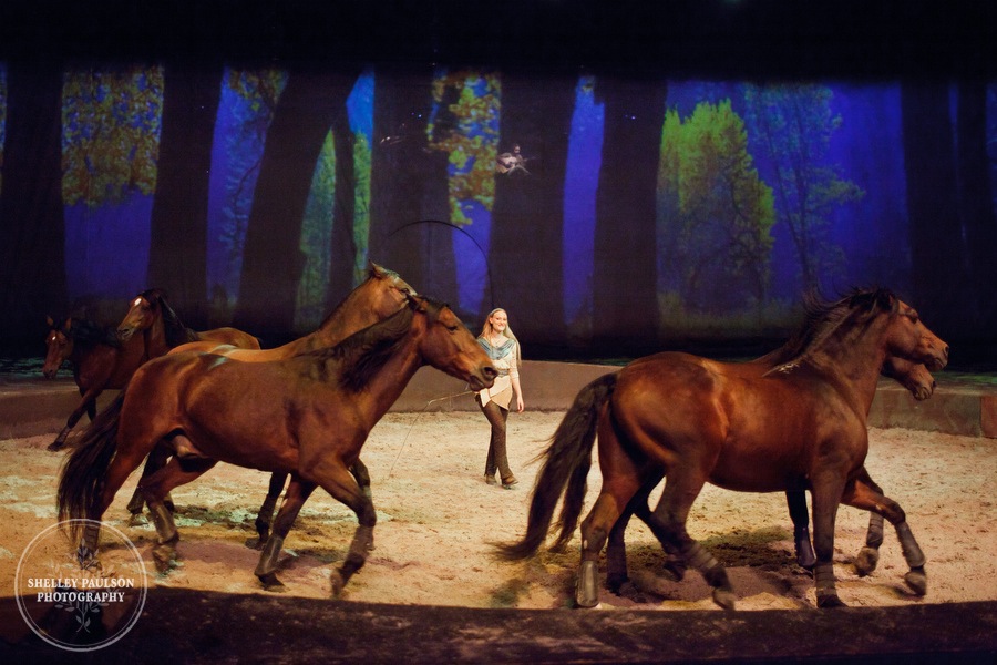 cavalia_photos_083.JPG