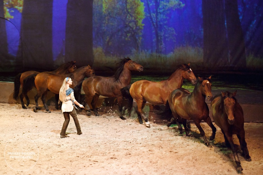 cavalia_photos_084.JPG