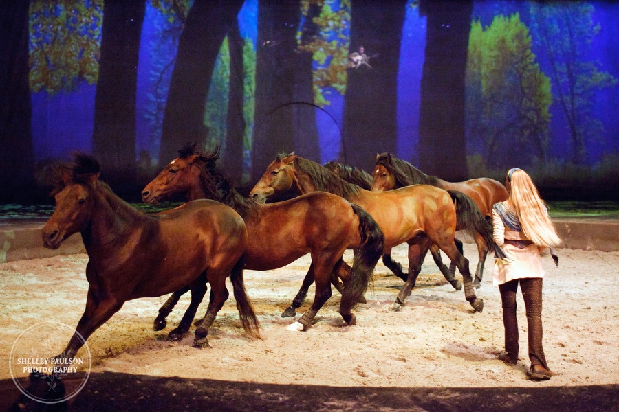 cavalia_photos_085.JPG