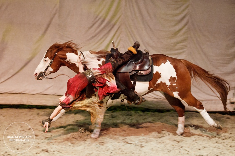 cavalia_photos_099.JPG