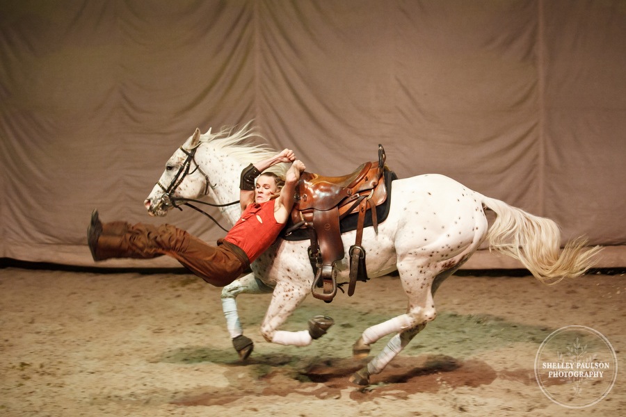 cavalia_photos_100.JPG