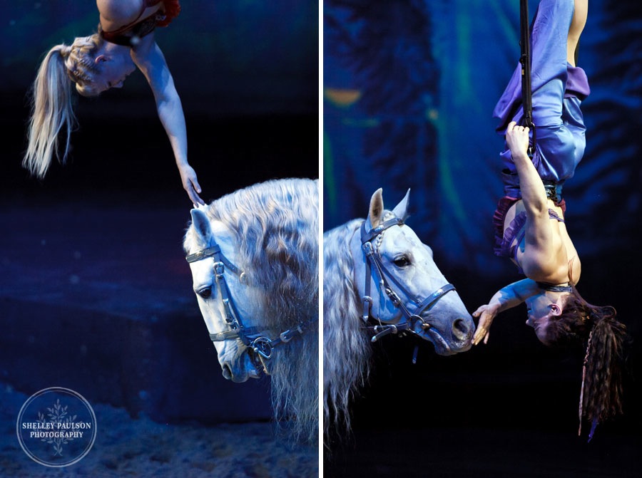 cavalia_photos_108.JPG