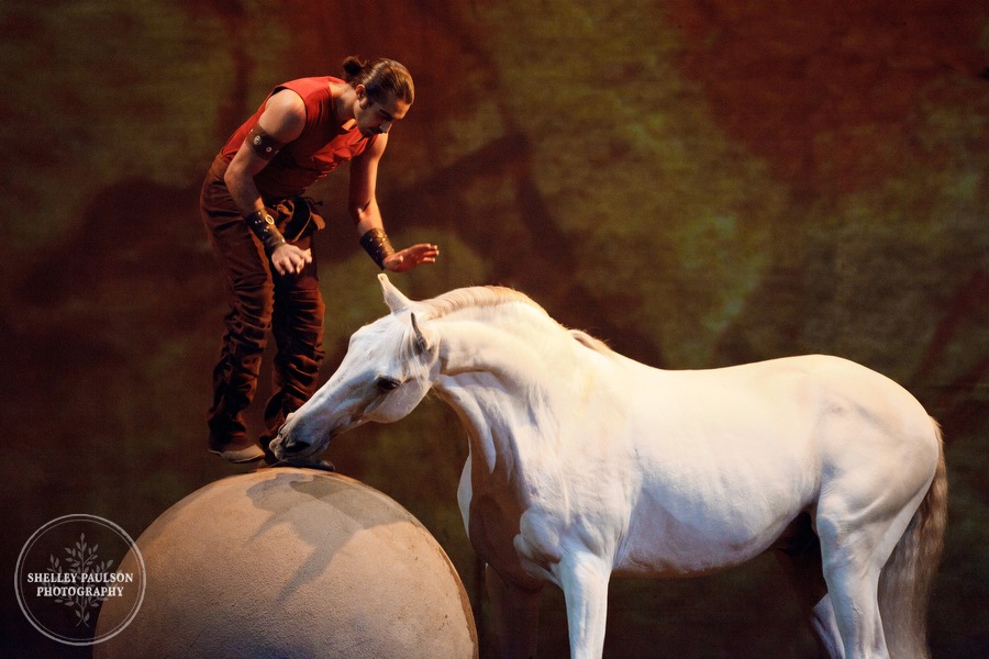 cavalia_show2_034.JPG