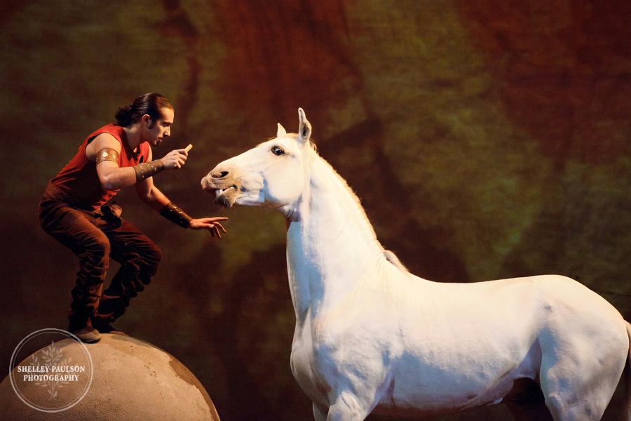 cavalia_show2_037.JPG