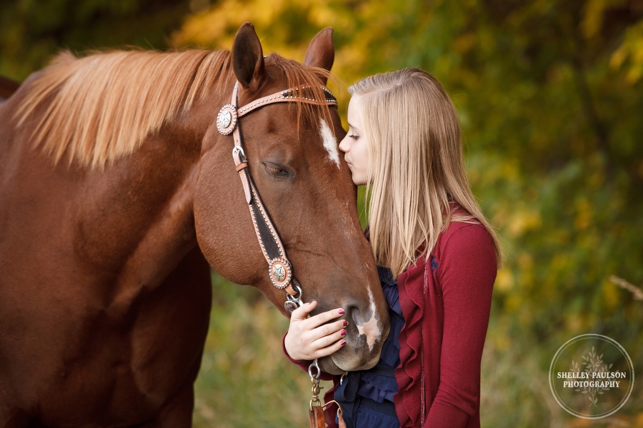 equine-family-portraits-03.JPG