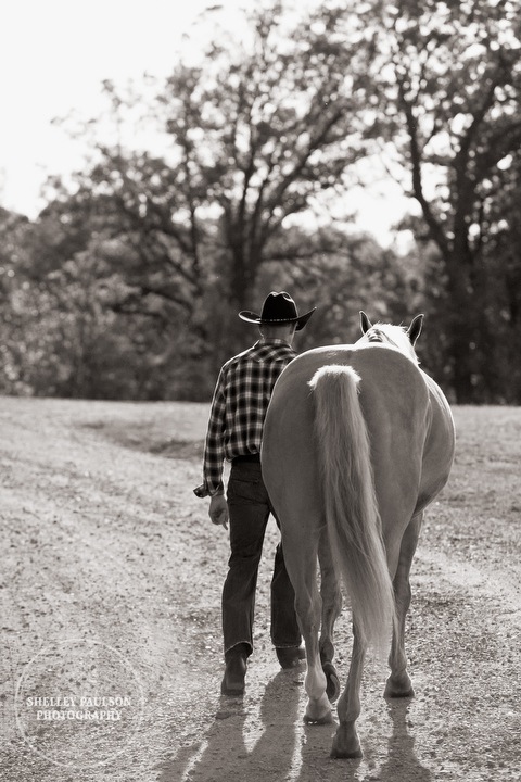 equine-family-portraits-10.JPG