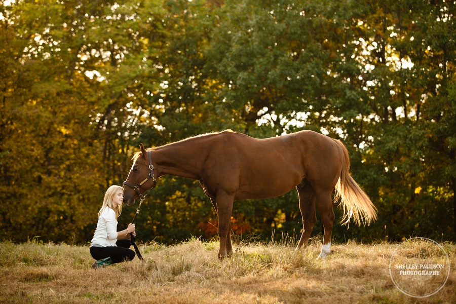 equine-family-portraits-17.JPG