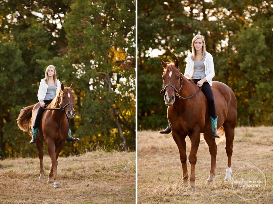 equine-family-portraits-21.JPG