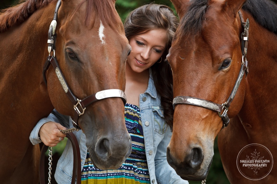 equine_portraits_03.JPG