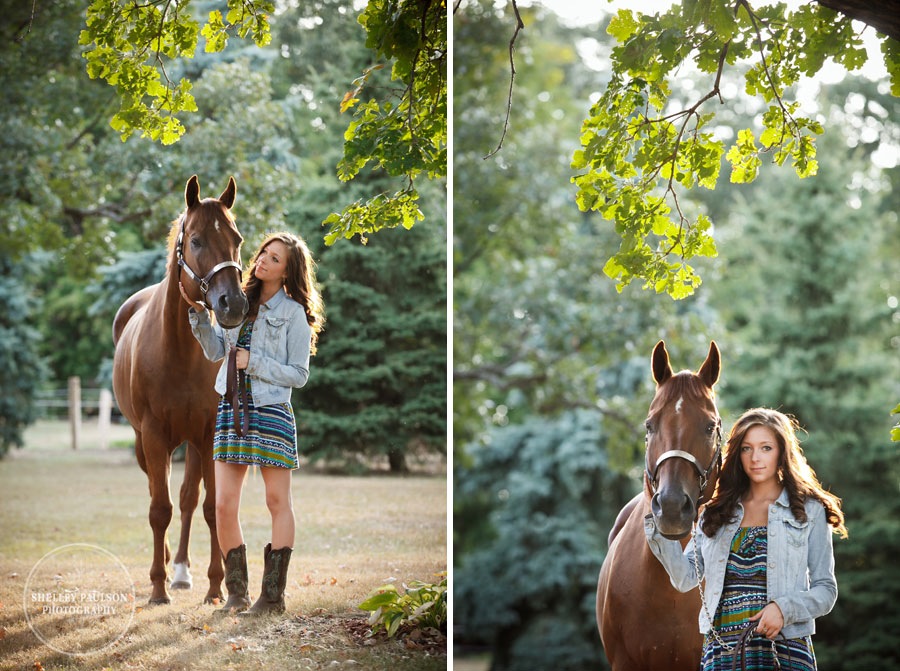 equine_portraits_04.JPG