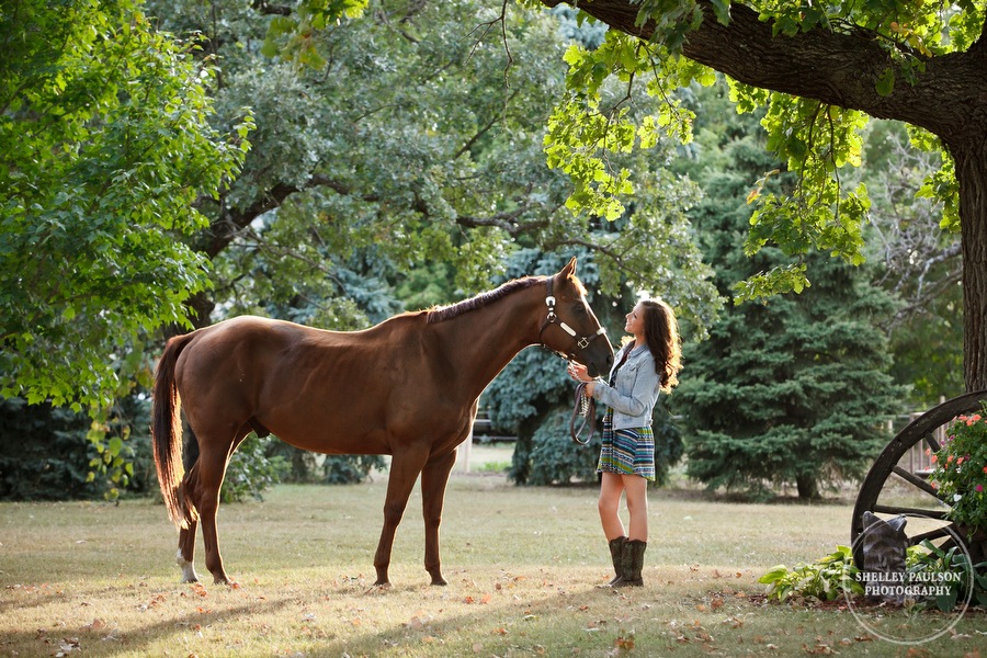 equine_portraits_05.JPG