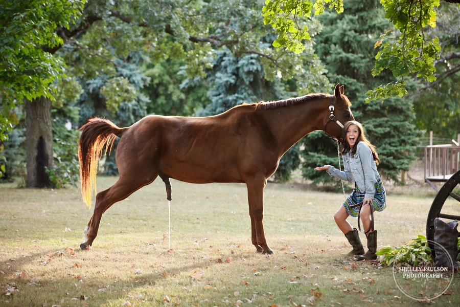 equine_portraits_06.JPG