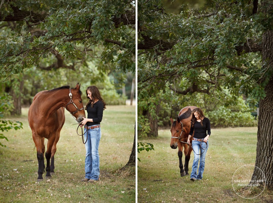 equine_portraits_07.JPG