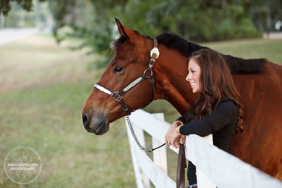 equine_portraits_08.JPG