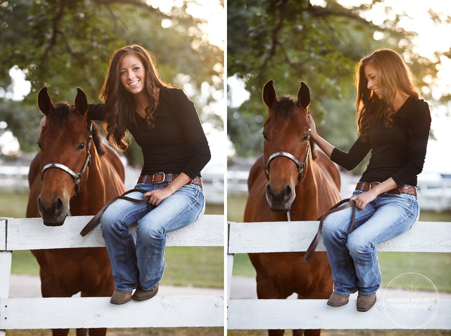 equine_portraits_09.JPG