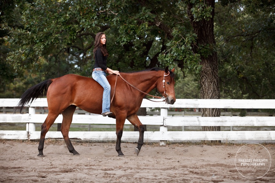 equine_portraits_10.JPG