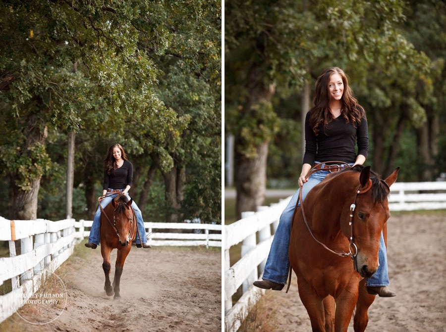 equine_portraits_12.JPG