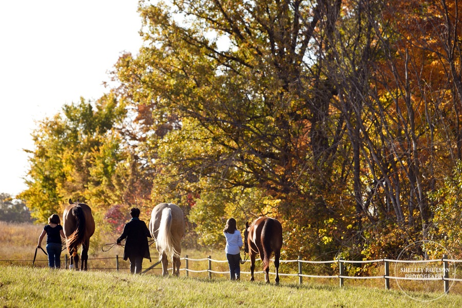 08-family-horse-portraits.JPG