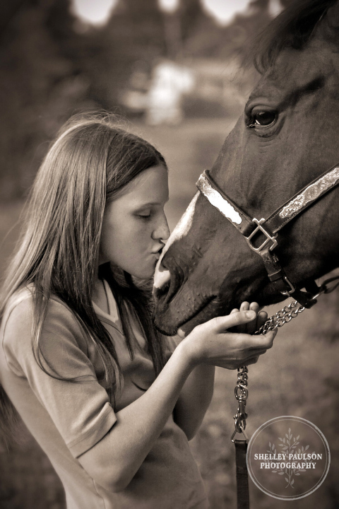 equine-portraits-minnesota-01.JPG