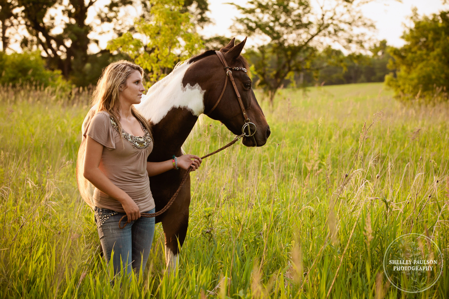 equine-portraits-minnesota-06.JPG