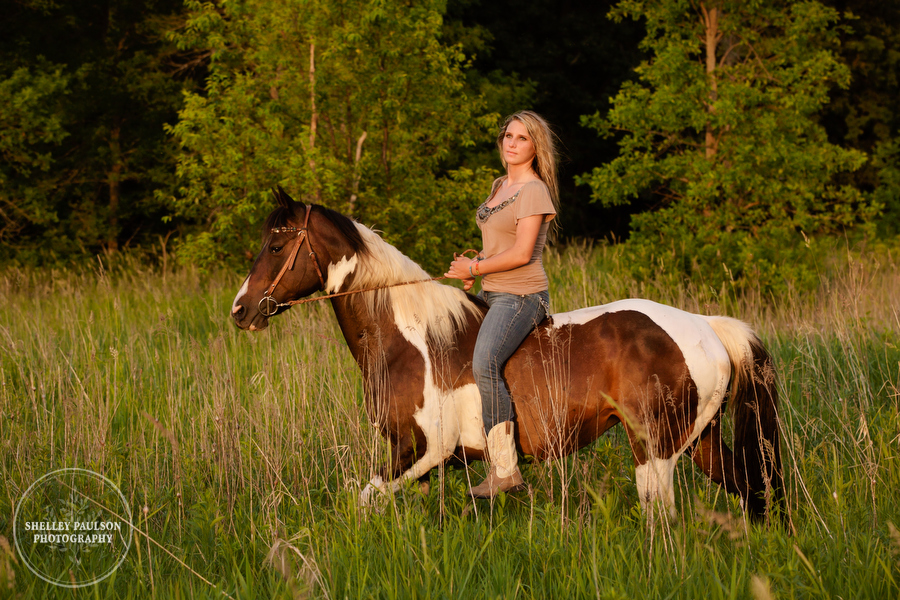 equine-portraits-minnesota-07.JPG