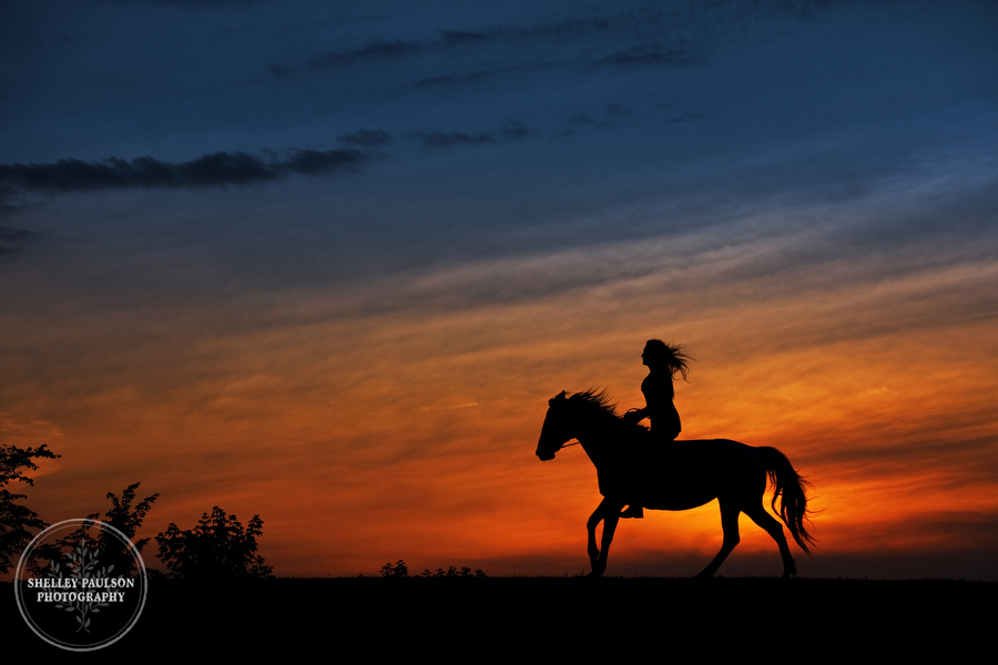 equine-portraits-minnesota-09.JPG