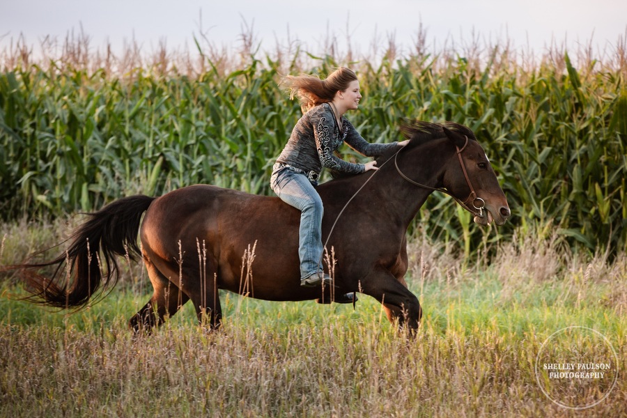 minnesota-senior-photos-with-horse-08.JPG